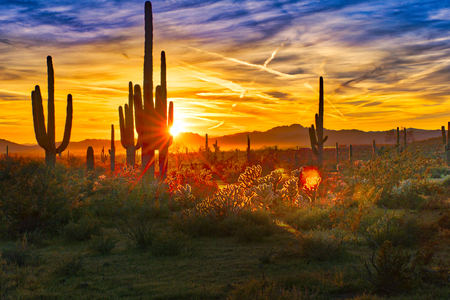 New to Arizona? Here Is What You Need to Know! | Fulton Homes